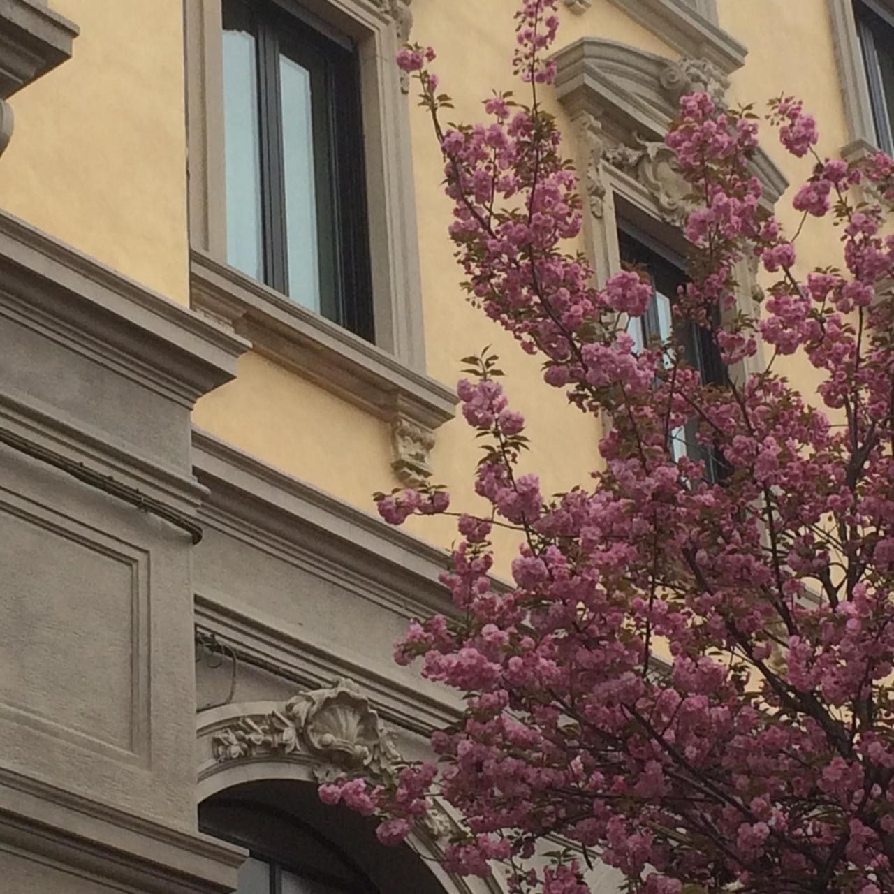 Hotel La Nuova Rotaia Gallarate Exteriér fotografie